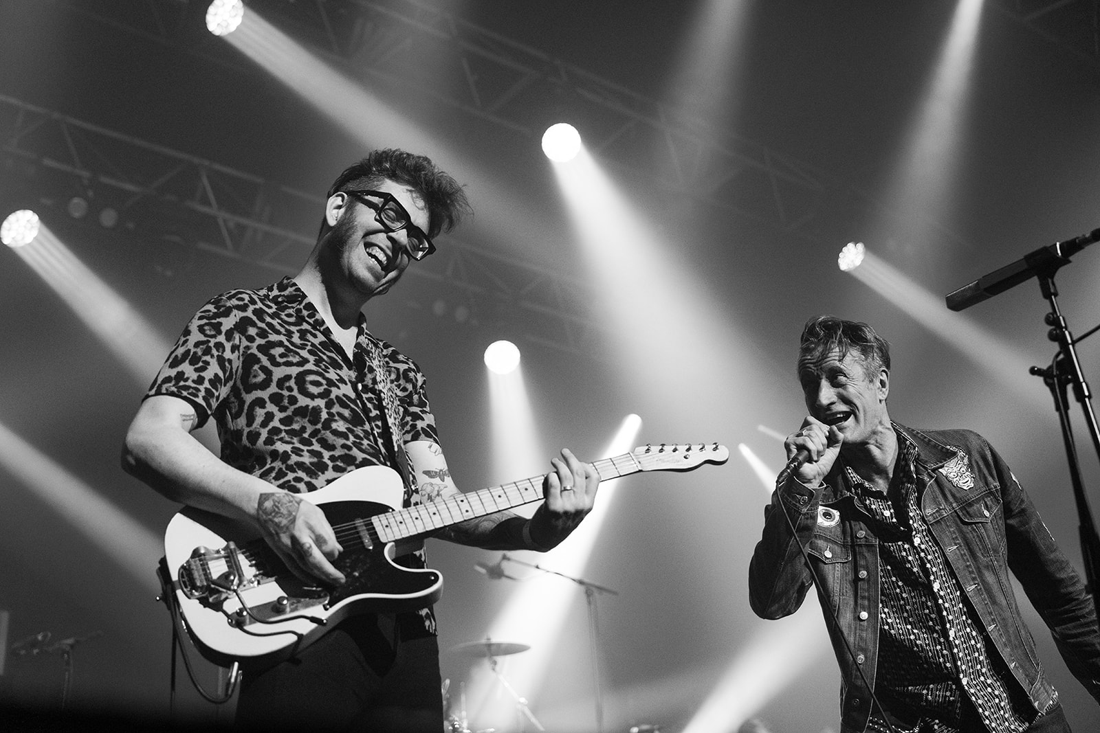 Washington Dead Cats – énergie brute